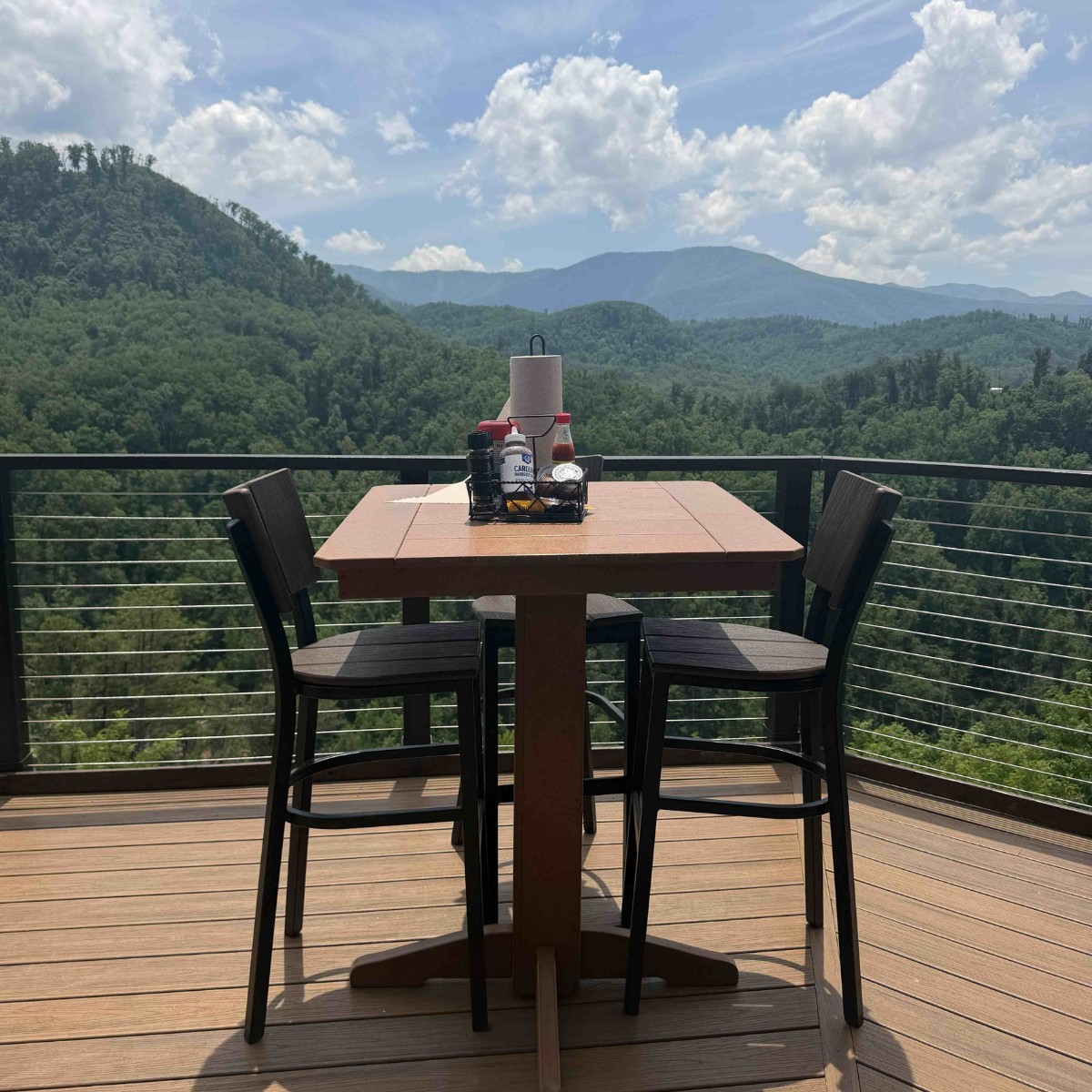 Scenic Mountain Dining